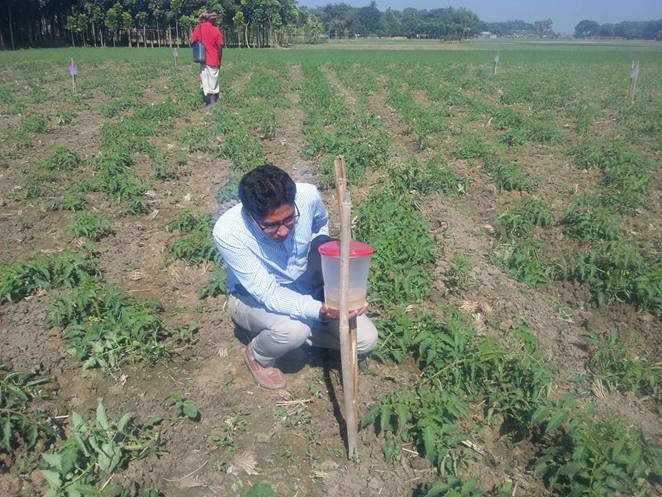 নিরাপদ খাদ্য চাই